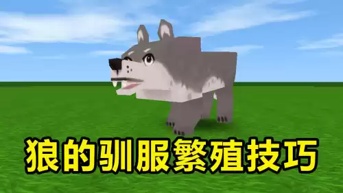 迷你世界狼在哪里刷新　迷你世界的狼怎么驯服成坐骑-第1张