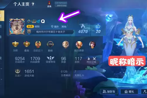 王者荣耀为什么不允许代练　王者代练价格-第3张