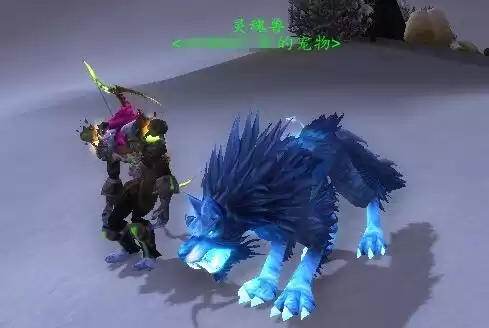 魔兽世界猎人灵魂兽哪个好　魔兽世界灵魂兽位置-第1张