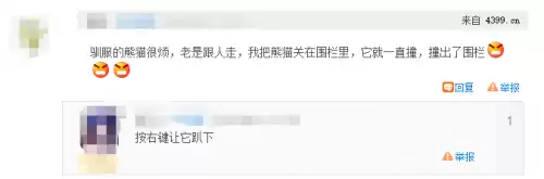 迷你世界如何让熊猫不跟着你　迷你世界如何驯服熊猫-第4张